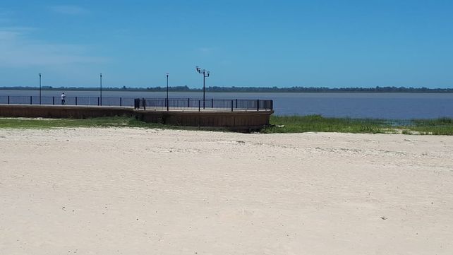 Se ve c&eacute;sped sobre la arena de la playa del Espig&oacute;n II.