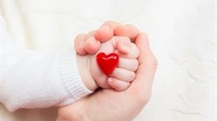 Santa Fe será sede del XIII Simposio Argentino de Cardiología Fetal