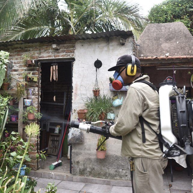 Dengue: actualizaron los datos de operativos de bloqueo municipales y medidas de prevención.