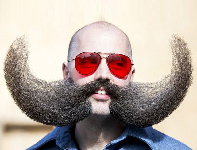 El Campeonato Mundial de Barbas y Bigotes  tuvo lugar en la localidad de Leogang