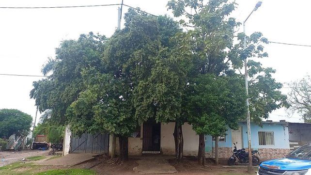 Un adolescente de 14 años está en terapia intensiva del hospital Delicia Masvernat de Concordia tras caer de un árbol