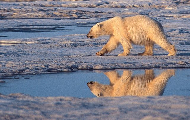 El nivel del mar subirá durante siglos porque las grandes capas de hielo de la Tierra se derriten lentamente.