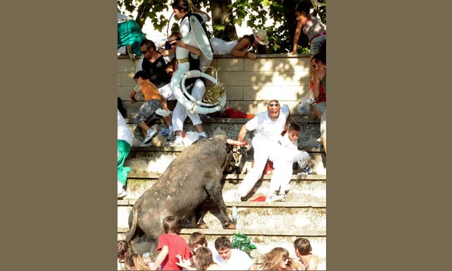 Un toro salt&oacute; a las tribunas en Espa&ntilde;a e hiri&oacute; a m&aacute;s de treinta personas
