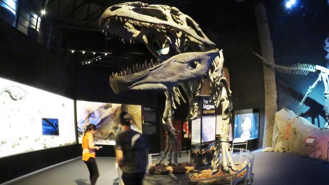 Museo Paleontológico Egidio Feruglio (MEF)