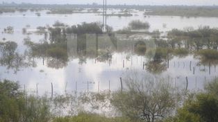 Río Salado: estiman que este sábado comenzaría a bajar su marca