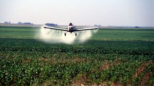 Santa Fe: marcha en contra de las fumigaciones aéreas