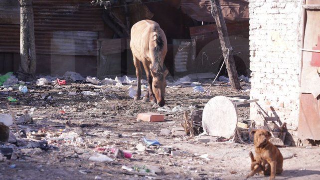 Vecinos de Antártida Argentina