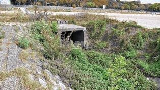 Alarmante estado de los desagües pluviales: agua estancada, basura y conexiones clandestinas&nbsp;