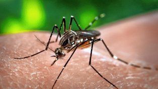 Se confirmó la primer muerte asociada al dengue en Entre Ríos.&nbsp;
