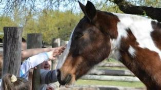 Granjas educativas en Santa Fe: el desafío de vivir y enseñar del campo