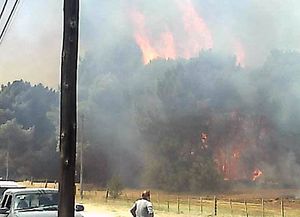 Un incendio forestal en Claromecó obligó a evacuar a cientos de personas