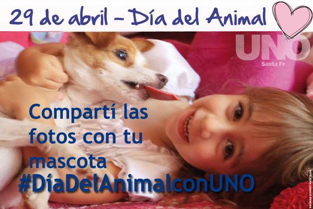 #DíaDelAnimalconUNO, compartí las fotos con tus mascotas