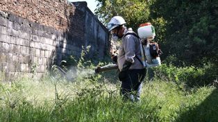 Fumigación en un terreno baldío cubierto de yuyos en la ciudad de Corrientes.&nbsp;