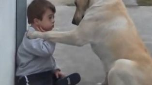 El video de un nene Down y su perra enternece a millones de internautas