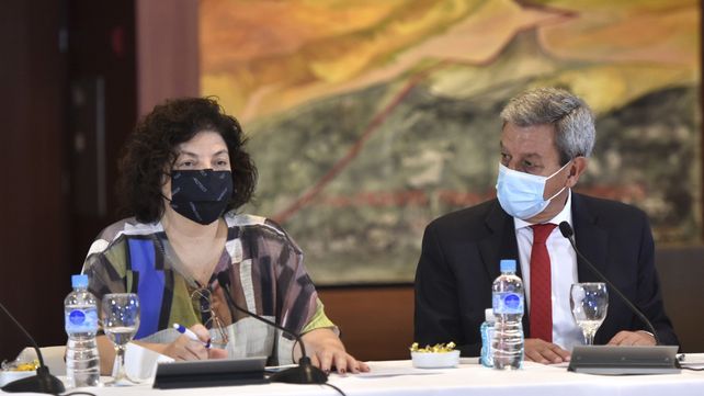 Vizzotti calificó de prioritaria la relación entre salud y ambiente en una conferencia de la OMS