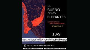 Nueva función: El Sueño de los Elefantes, experiencia multisensorial, llega a HUB con Cuerpo Adentro