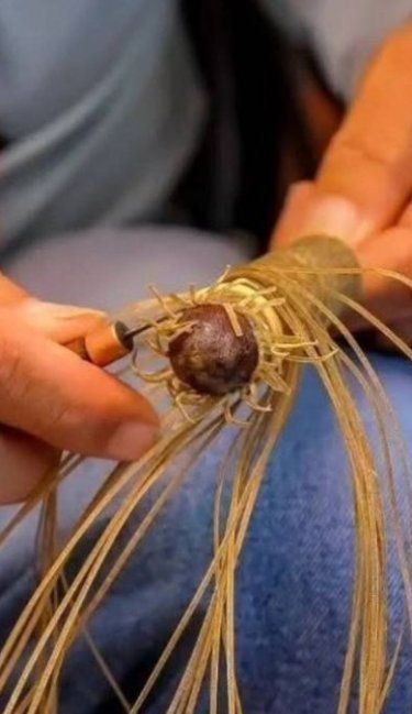 El Premio Provincial de la Pieza Única Artesanal ya tiene sus ganadores