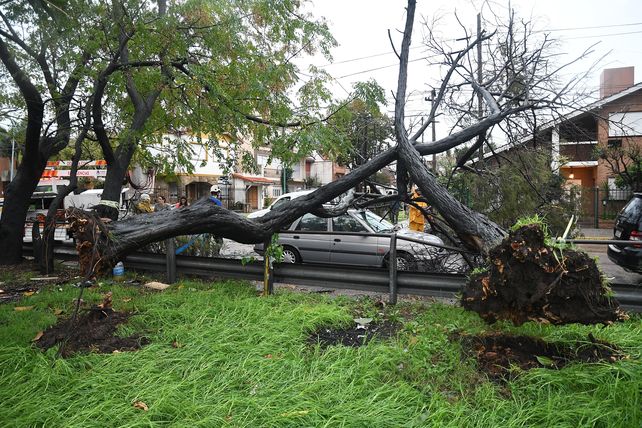 Dos personas murieron como consecuencia del temporal en Buenos Aires