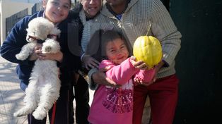 Milagro de la naturaleza: una santafesina encontró un limón gigante que pesa un kilo