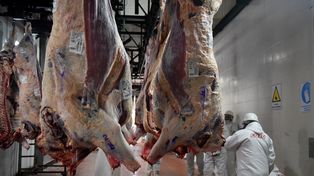 Carne: el cierre de las exportaciones y un análisis de los complejos agroindustriales