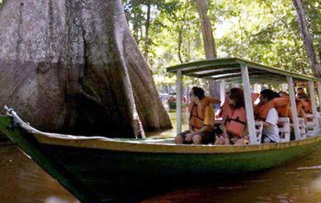 Manaos. Un grupo de turistas disfruta de la belleza de un río en una zona de 400 islas cubiertas por bosques y selvas vírgenes.