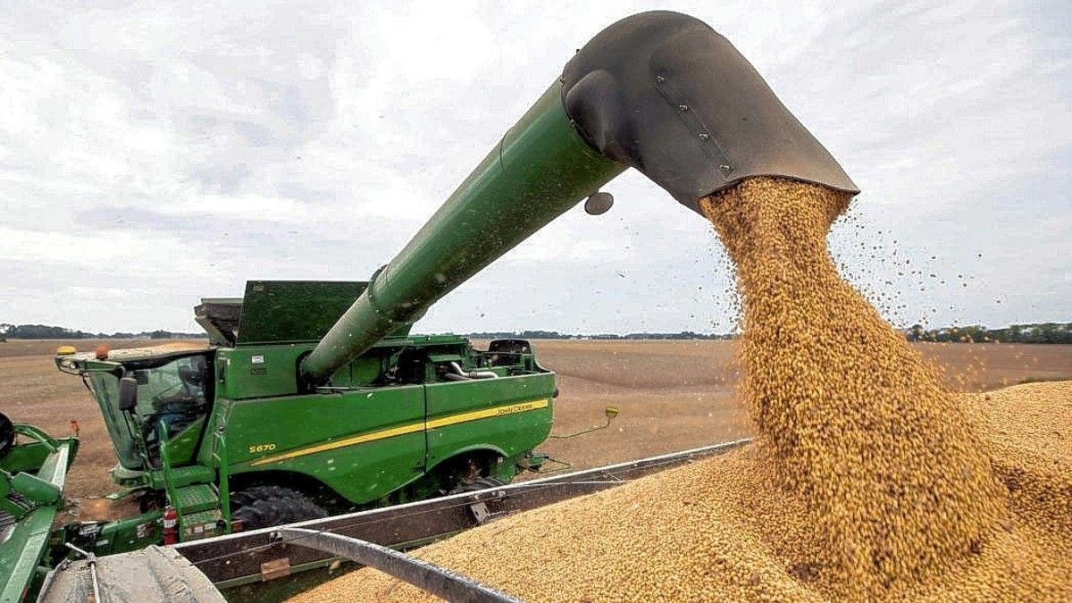 dolar-soja-divisasjpg