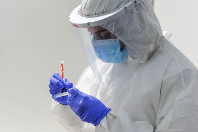 Coronavirus: informaron 180 muertos y 17.034 nuevos casos en las últimas 24 horas en Argentina