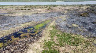 Incendios en las islas: controlan más del 90% de los focos y prevén un alivio hidrológico en el río Paraná