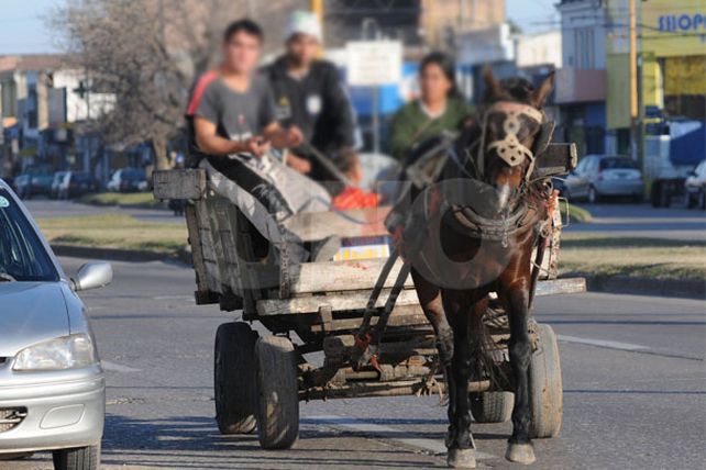 “No se pueden erradicar los carros con la pobreza existente”
