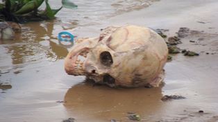 El caso de la calavera hallada en el Leyes está cerca del juicio oral