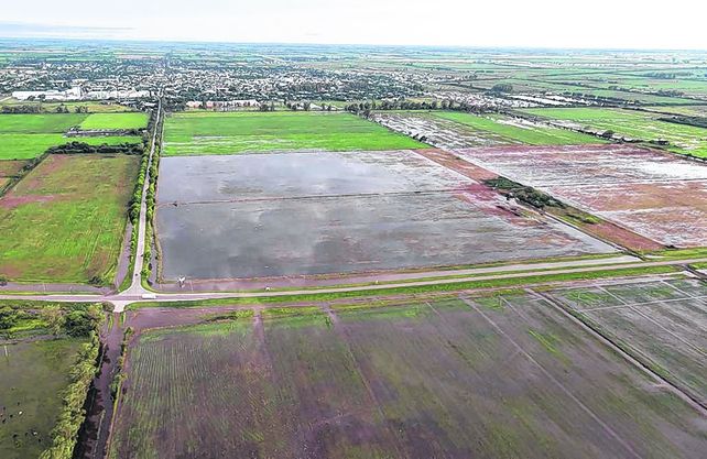 Devastación. Los desbordes hídricos afectan a muchas áreas urbanas y rurales de varias provincias argentinas