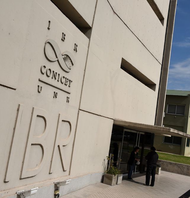 En la organización. El IBR