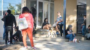 La Municipalidad de Paraná informó que en noviembre proseguirán los operativos de salud animal.&nbsp;