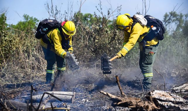 Incendios en las islas: Nación hará una fuerte inversión para combatir el fuego y llevará pruebas a la Justicia