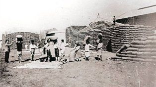 Lucienville, un pueblo ejemplo del cooperativismo argentino