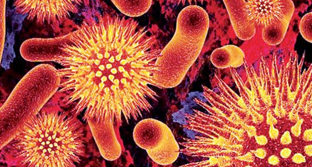 Descubren c&oacute;mo desarmar el virus del sida y ahora van por la vacuna