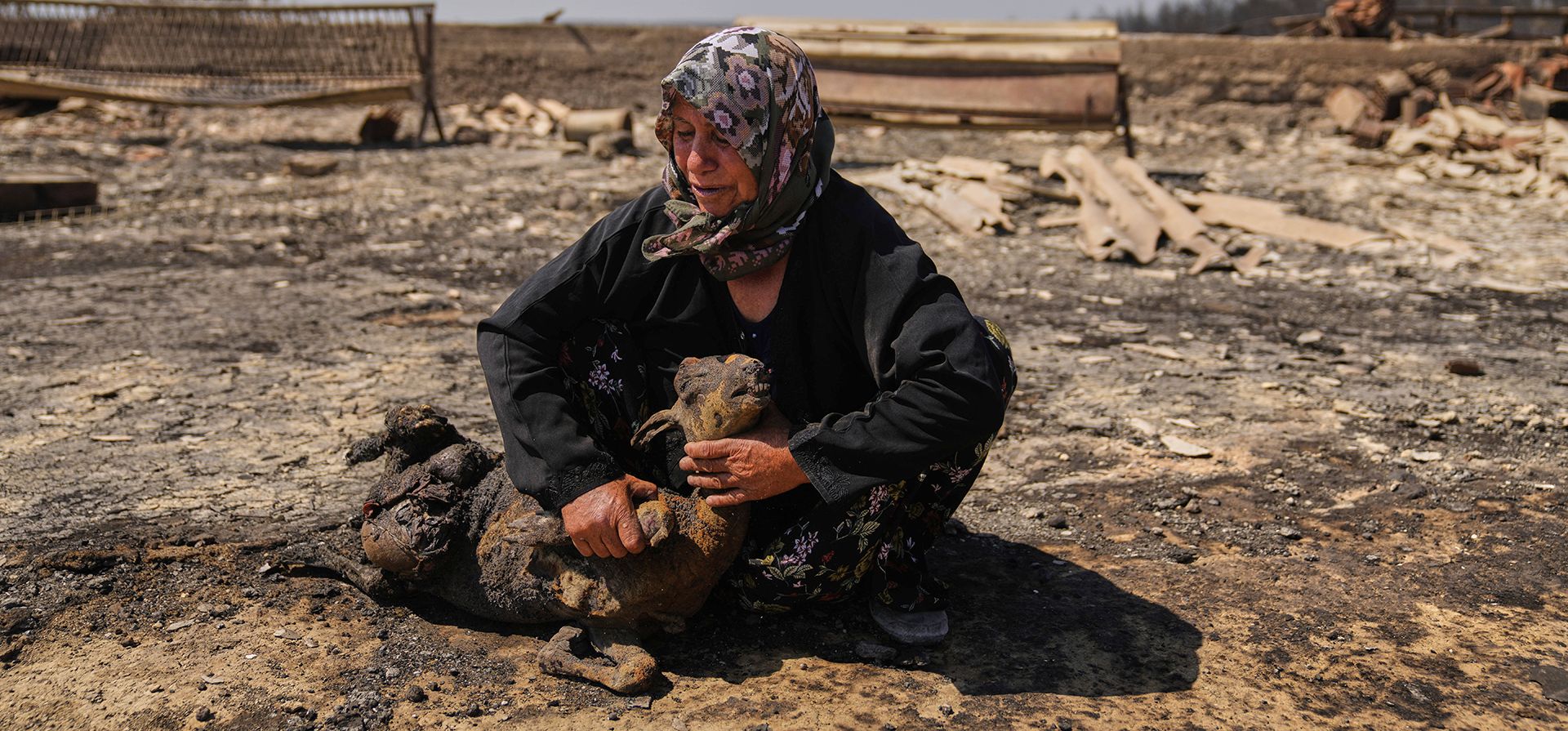 Una agricultora local, llora junto a uno de sus animales, muerto en un incendio en Guzelyeli, a las afueras de Canakkale, al noroeste de Turquía, el martes 12 de agosto de 2025. (Foto AP/Khalil Hamra) Una agricultora local, llora junto a uno de sus animales, muerto en un incendio en Guzelyeli, a las afueras de Canakkale, al noroeste de Turquía, el martes 12 de agosto de 2025. (Foto AP/Khalil Hamra)