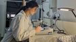 Bacterias aliadas contra enfermedades en los cultivos