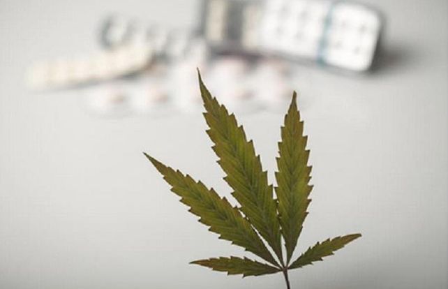 En Estados Unidos se venden supositorios vaginales de marihuana para el dolor menstrual