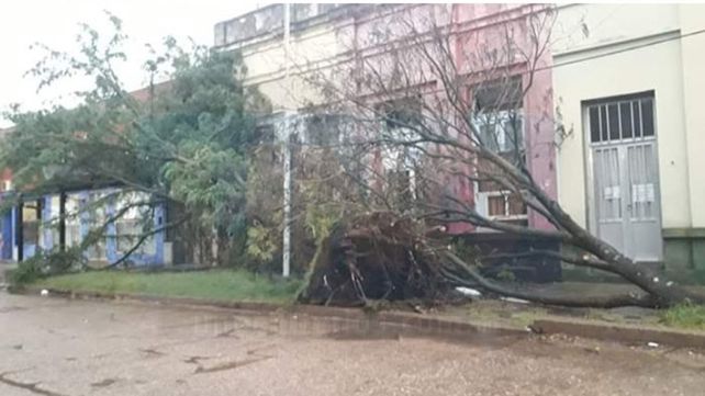 Violenta tormenta en Basavilbaso