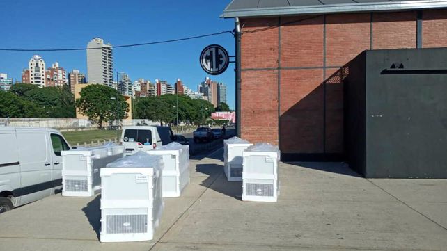 Los aparatos de refrigeración ya se encuentran en el Galpón 13 de la costa central y los otras postas sanitarias.