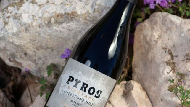 Eligieron el mejor vino de Argentina: ¿cuál es y cuánto cuesta una botella?