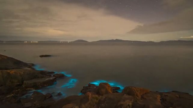 Imperdible video: una playa de Tasmania tiene un mar que cambia de color