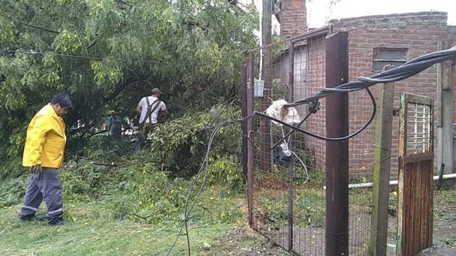 Paraná: La situación y el pronóstico son complicados