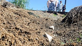 Bº Santa Rosa: malestar e indignación por el olor a soja podrida