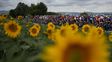 Crónicas de campaña: se sembró el girasol en el centro norte provincial