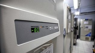 ¿Cómo son los ultrafreezer que gestiona provincia para conservar la vacuna Pfizer a -80º?