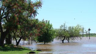 Por las lluvias, el Salado desbordó en ciudad de Esperanza
