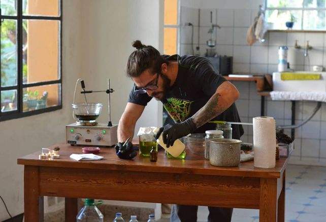 Procesado por dar talleres públicos sobre marihuana para uso personal