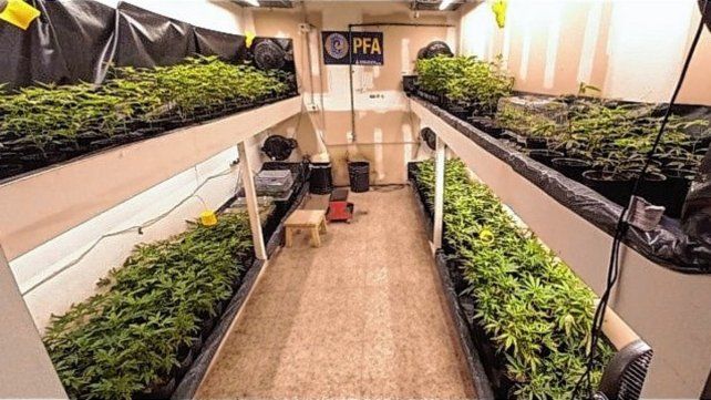 El vivero de marihuana en Rosario estaba equipado con tecnología sofisticada